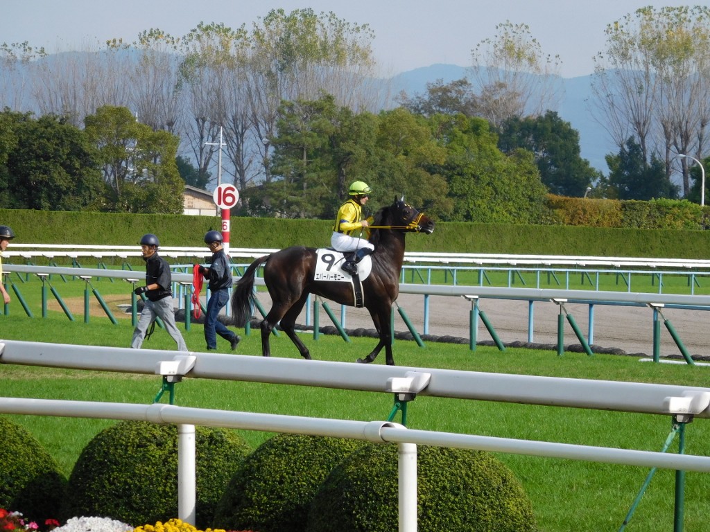 本馬場入場その３