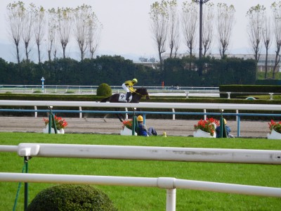 本馬場入場その７