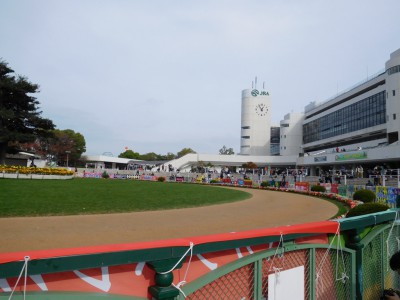 京都競馬場パドック