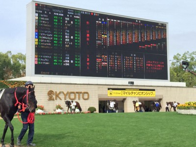 京都7R出走馬がパドックに