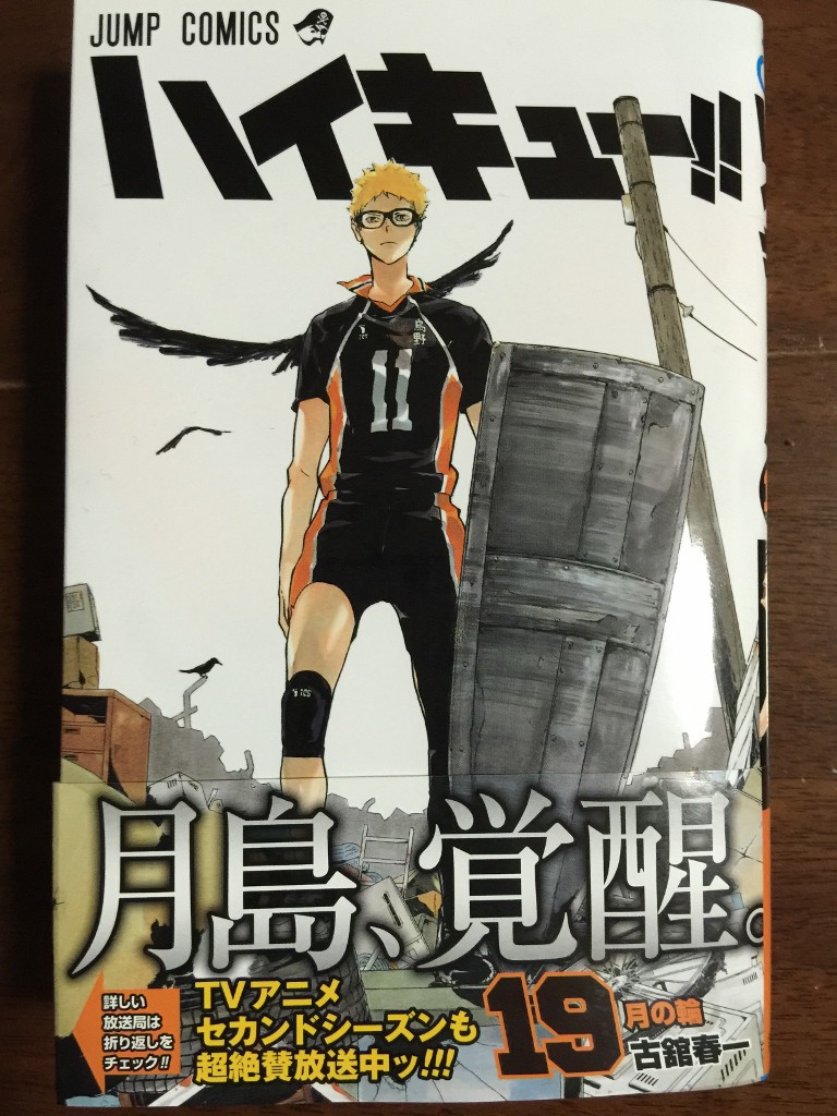 ハイキュー 19巻が気になったもんで １ ネタバレあり 感想 大次郎の気になったもんで