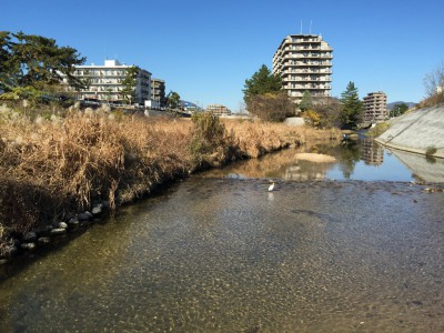 景観の良い河川敷のサイクリングロード１