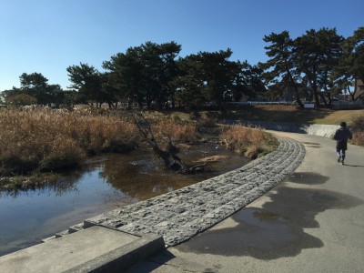 景観の良い河川敷のサイクリングロード２