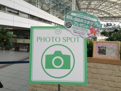 Photo Spot