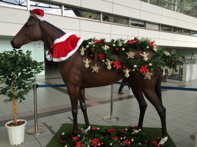 クリスマスサラブレッド