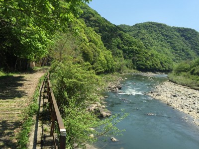 綺麗な武庫川