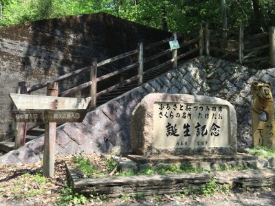 桜の名所・武田尾誕生記念