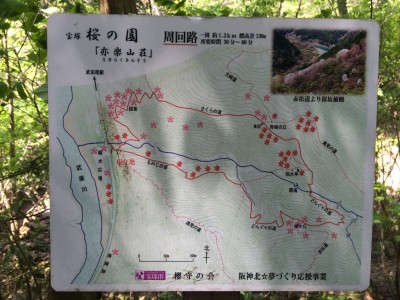 桜の園「亦楽山荘」