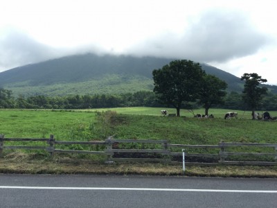 大山牧場