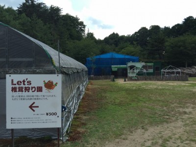 カブトムシ広場と椎茸狩り園