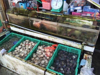 満幸商店・店前の水槽