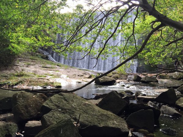 通天湖ダムの水の大カーテン