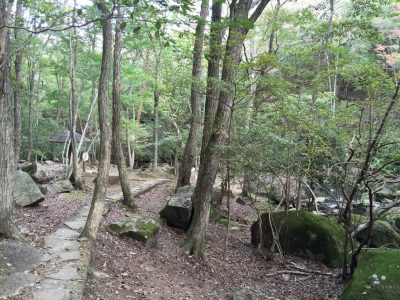 るり渓渓流歩道