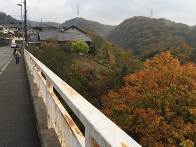 橋を渡ってしまうと住宅街