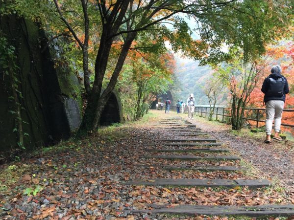 廃線敷ハイキング・フォトスポット