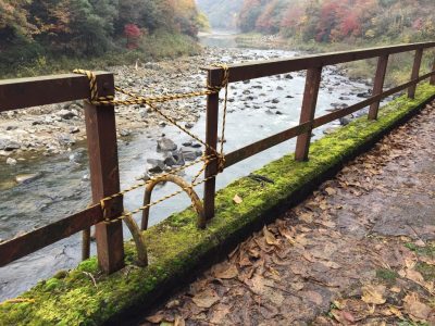 国鉄廃線っぽい場所