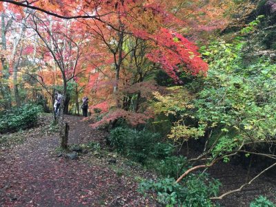 親水広場への道