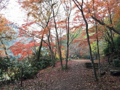 親水広場への道2