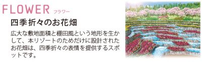 「FLOWER（フラワー）」四季折々のお花畑