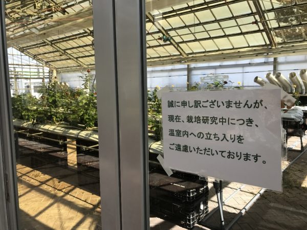 栽培研究中