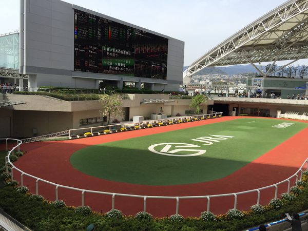 阪神競馬場パドック