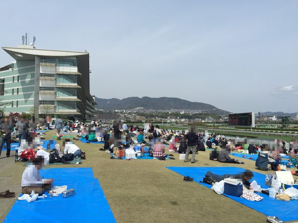 阪神競馬場の芝生