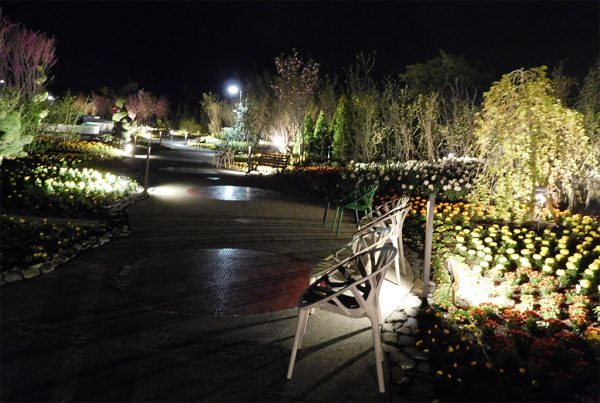 花路地・広場