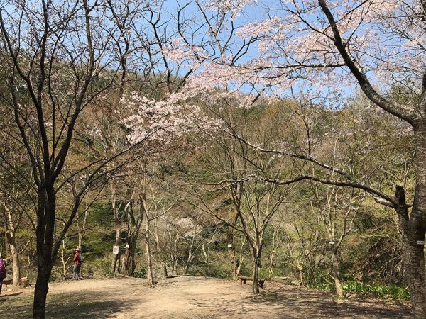 親水広場