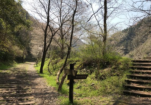 桜ふれあい広場