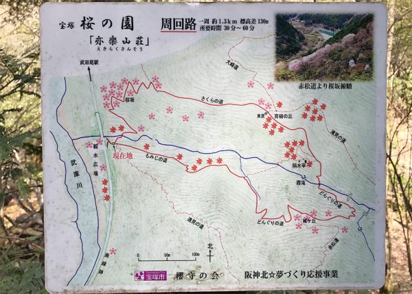 桜の園「亦楽山荘」周回路