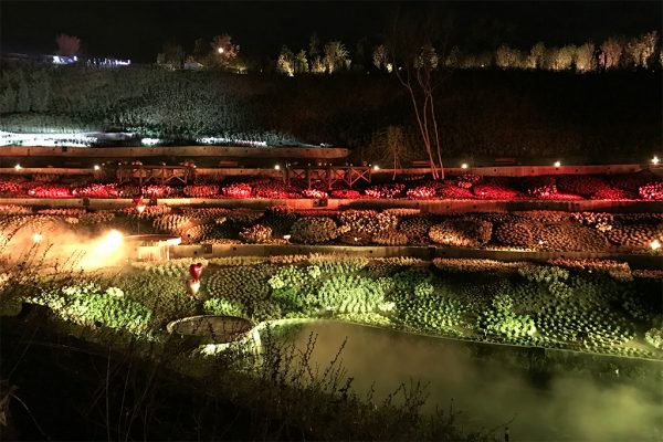 手結びの坂・イルミネーションショー