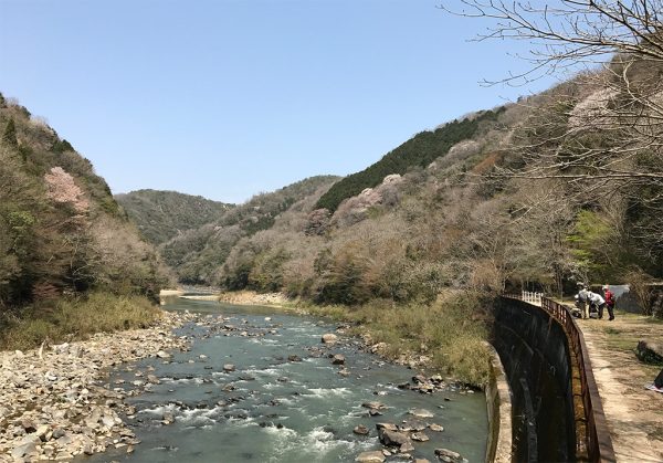 展望広場から桜坂方面の眺め