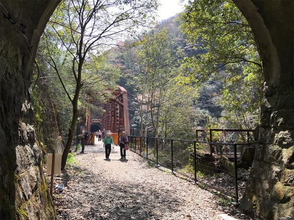 トンネル先に鉄橋