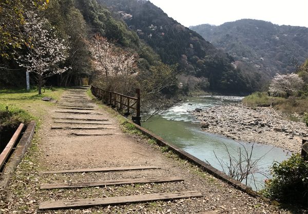 春・桜の季節のハイキング