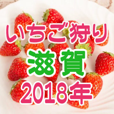 いちご狩り 滋賀 2018