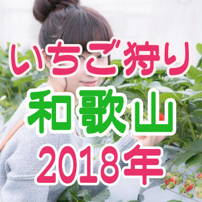 いちご狩り 和歌山 2018