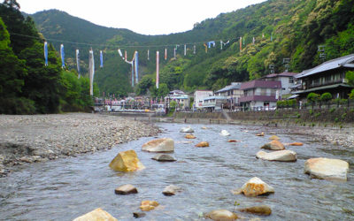 川湯温泉 鯉のぼり