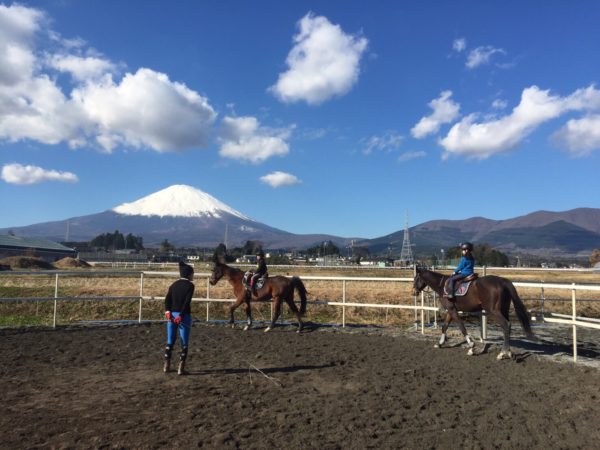 乗馬クラブ ファナウステーブル