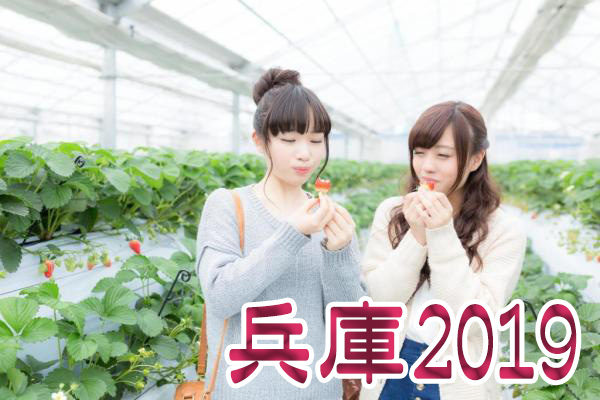 イチゴ狩り 予約 混雑 時期 期間 駐車場 スポット 品種 練乳 持ち帰り 関西 兵庫 2019