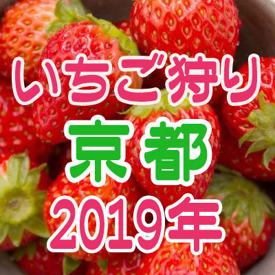 京都府のイチゴ狩りスポット【2019年版】