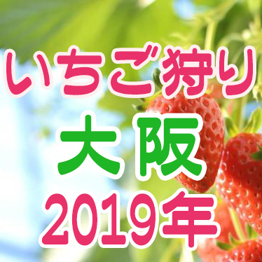 大阪府のイチゴ狩りスポット【2019年版】