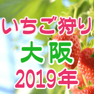 大阪府のイチゴ狩りスポット 19年版 大次郎の気になったもんで