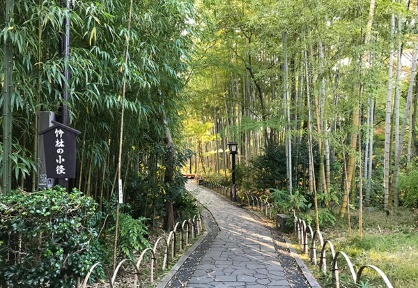 修善寺温泉 竹林の小径