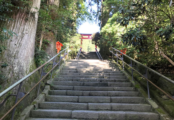 箱根神社 石段