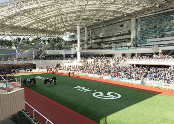 宝塚 阪神競馬場