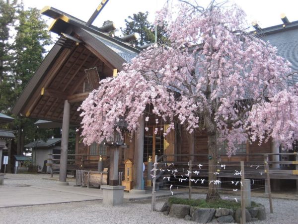 福島 郡山 開成山大神宮