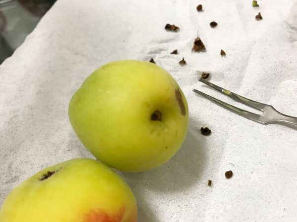 梅酒 梅のヘタ取り